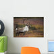 Bull Caribou On Autumn Tundra In Denali National Park, Interior Alaska Wall Mural