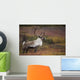 Bull Caribou On Autumn Tundra In Denali National Park, Interior Alaska Wall Mural