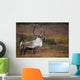 Bull Caribou On Autumn Tundra In Denali National Park, Interior Alaska Wall Mural