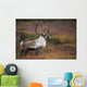 Bull Caribou On Autumn Tundra In Denali National Park, Interior Alaska Wall Mural