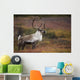 Bull Caribou On Autumn Tundra In Denali National Park, Interior Alaska Wall Mural