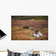 Bull Caribou Bedded On Autumn Tundra In Denali National Park Wall Mural