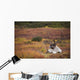 Bull Caribou Bedded On Autumn Tundra In Denali National Park Wall Mural