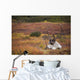Bull Caribou Bedded On Autumn Tundra In Denali National Park Wall Mural