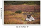 Bull Caribou Bedded On Autumn Tundra In Denali National Park Wall Mural