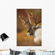 Bull Caribou On Autumn Tundra In Denali National Park, Interior Alaska Wall Mural