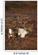 Bull Caribou On Autumn Tundra In Denali National Park, Interior Alaska Wall Mural