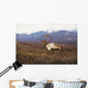 Bull Caribou On Autumn Tundra With Alaska Range In The Background Wall Mural