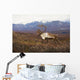 Bull Caribou On Autumn Tundra With Alaska Range In The Background Wall Mural
