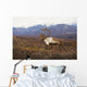 Bull Caribou On Autumn Tundra With Alaska Range In The Background Wall Mural