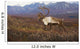 Bull Caribou On Autumn Tundra With Alaska Range In The Background Wall Mural