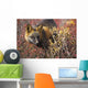Cross Fox, Blueberry And Willow Shrubs Wall Mural