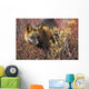 Cross Fox, Blueberry And Willow Shrubs Wall Mural