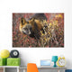 Cross Fox, Blueberry And Willow Shrubs Wall Mural