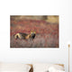 View Of Cross Fox Standing Amongst Blueberry Bushes And Fall Foliage Wall Mural