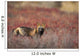 View Of Cross Fox Standing Amongst Blueberry Bushes And Fall Foliage Wall Mural