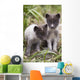 Close Up Of Arctic Fox Pups Wall Mural