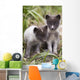 Close Up Of Arctic Fox Pups Wall Mural