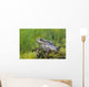 Wood Frog On The Copper River Delta During Summer, Southcentral Alaska Wall Mural