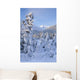 Winter Scenic Of Snowcovered Spruce Trees And The Chugach Mountains Wall Mural