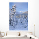Winter Scenic Of Snowcovered Spruce Trees And The Chugach Mountains Wall Mural