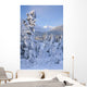 Winter Scenic Of Snowcovered Spruce Trees And The Chugach Mountains Wall Mural