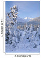 Winter Scenic Of Snowcovered Spruce Trees And The Chugach Mountains Wall Mural
