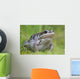 Wood Frog On The Copper River Delta During Summer, Southcentral Alaska Wall Mural
