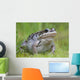 Wood Frog On The Copper River Delta During Summer, Southcentral Alaska Wall Mural