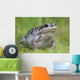Wood Frog On The Copper River Delta During Summer, Southcentral Alaska Wall Mural