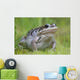 Wood Frog On The Copper River Delta During Summer, Southcentral Alaska Wall Mural