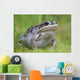 Wood Frog On The Copper River Delta During Summer, Southcentral Alaska Wall Mural