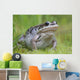 Wood Frog On The Copper River Delta During Summer, Southcentral Alaska Wall Mural