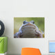Wood Frog On The Copper River Delta During Summer, Southcentral Alaska Wall Mural