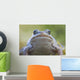 Wood Frog On The Copper River Delta During Summer, Southcentral Alaska Wall Mural