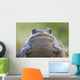Wood Frog On The Copper River Delta During Summer, Southcentral Alaska Wall Mural