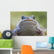 Wood Frog On The Copper River Delta During Summer, Southcentral Alaska Wall Mural