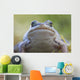 Wood Frog On The Copper River Delta During Summer, Southcentral Alaska Wall Mural