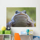 Wood Frog On The Copper River Delta During Summer, Southcentral Alaska Wall Mural