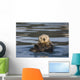 View Of A Sea Otter Floating On Its Back In Prince William Sound Wall Mural