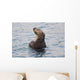 Sea Otter With Arms Crossed Floats Upright In Prince William Sound Wall Mural