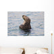 Sea Otter With Arms Crossed Floats Upright In Prince William Sound Wall Mural