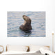Sea Otter With Arms Crossed Floats Upright In Prince William Sound Wall Mural