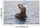 Sea Otter With Arms Crossed Floats Upright In Prince William Sound Wall Mural