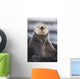 Close Up Portrait Of A Sea Otter In Prince William Sound Wall Mural