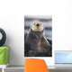Close Up Portrait Of A Sea Otter In Prince William Sound Wall Mural