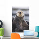 Close Up Portrait Of A Sea Otter In Prince William Sound Wall Mural