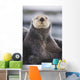 Close Up Portrait Of A Sea Otter In Prince William Sound Wall Mural