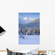 Winter Scenic Of Snowcovered Spruce Trees And The Chugach Mountains Wall Mural