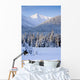 Winter Scenic Of Snowcovered Spruce Trees And The Chugach Mountains Wall Mural